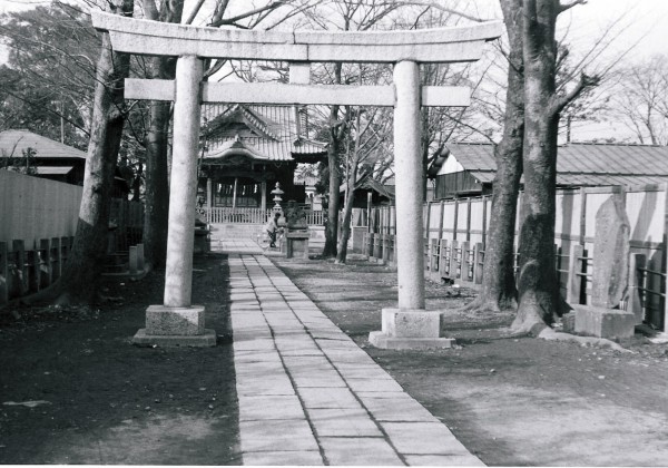 鳥居の奧に神社の本堂が写った写真