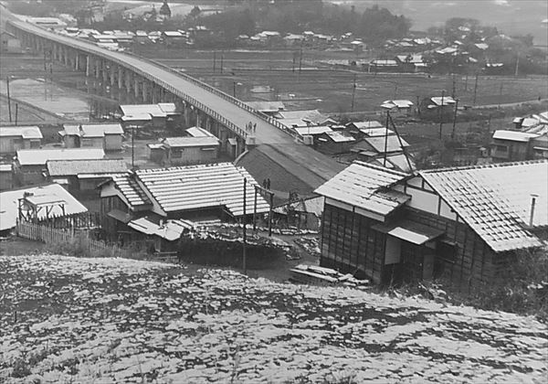 多摩川側から津田山陸橋を俯瞰で見た写真。遠く続く陸橋と、その手前に密集した民家が見える